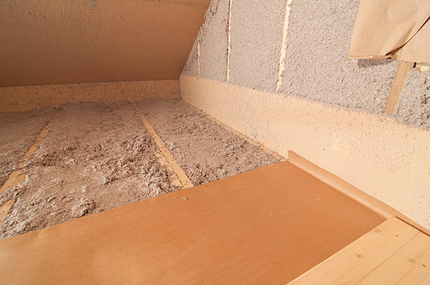 Best Insulation Inspection Services  in USA